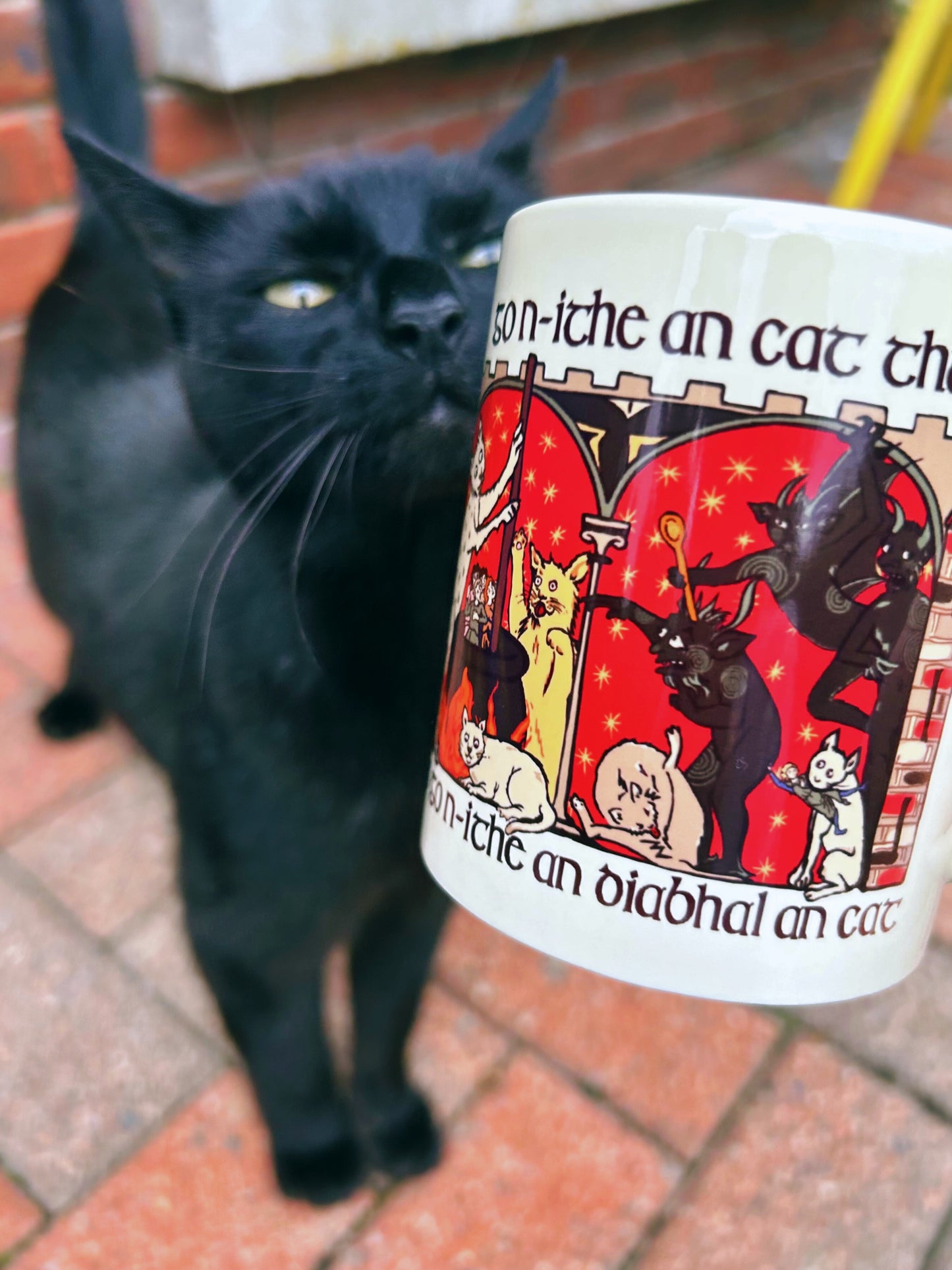 Go n-Ithe an Cat Thú - Seanmhallacht Muga Gaeilge | May the Cat Eat You - Old Irish Curse Mug