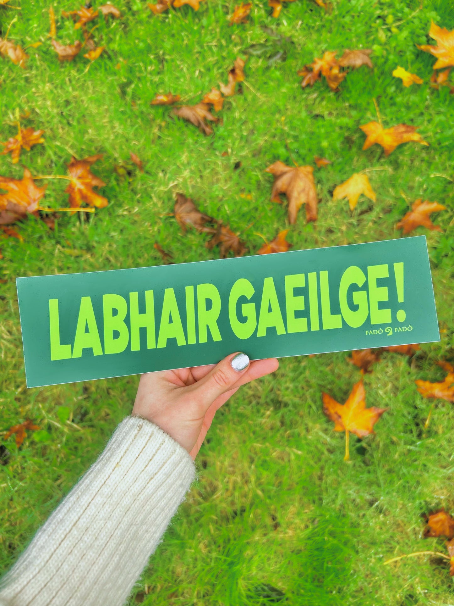 Labhair Gaeilge! - Bumper Sticker (29x7.5cm)