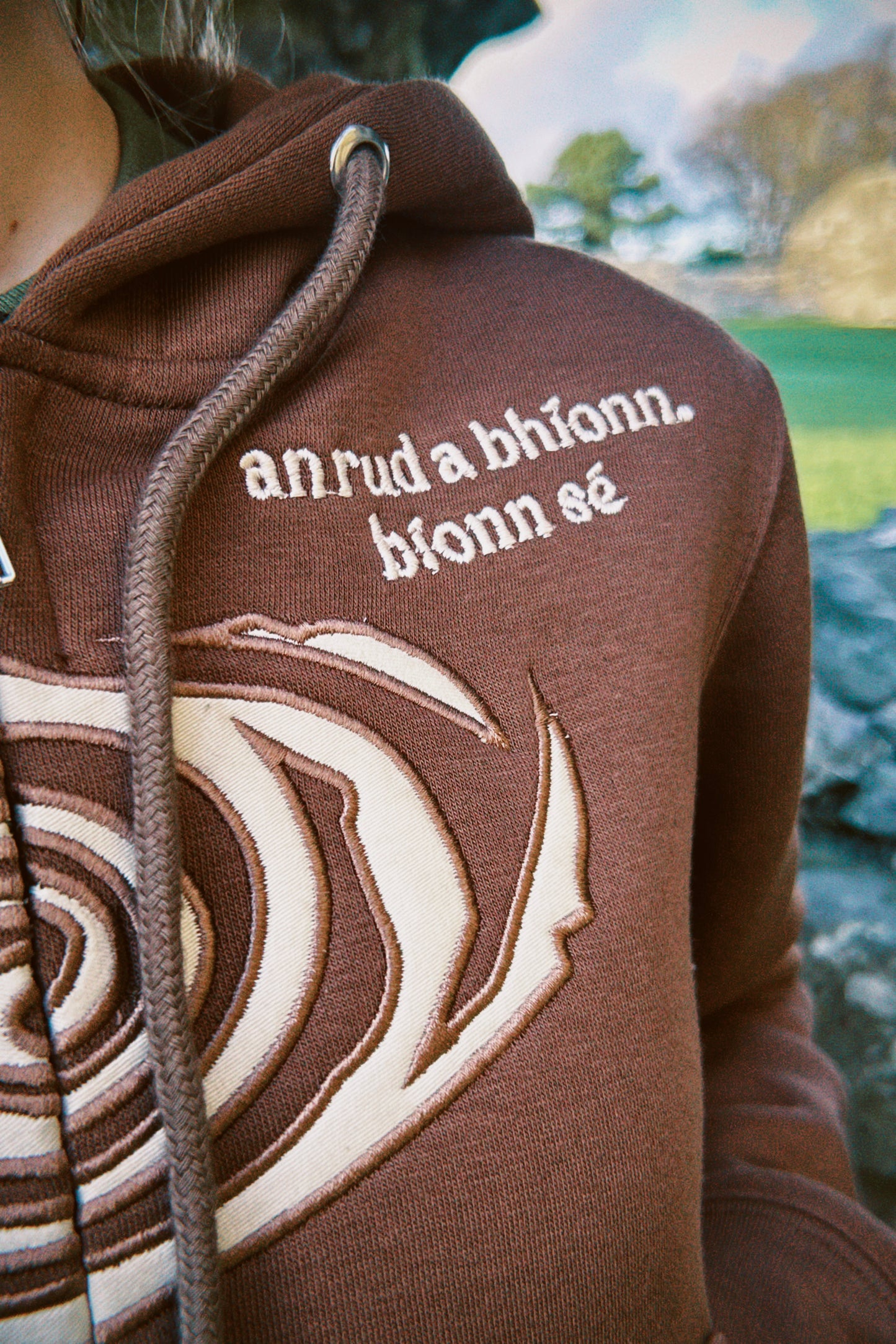An Rud a Bhíonn, Bíonn sé - Hoodie (fitted)
