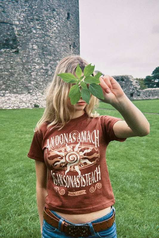 An Donas Amach Is An Sonas Isteach - T-Léine Gaeilge (baby tee)