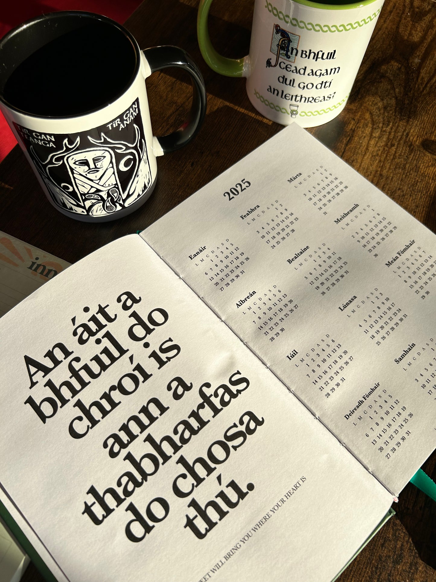 2025 Dialann Bhliantúil Gaeilge / Irish Diary Yearly Planner