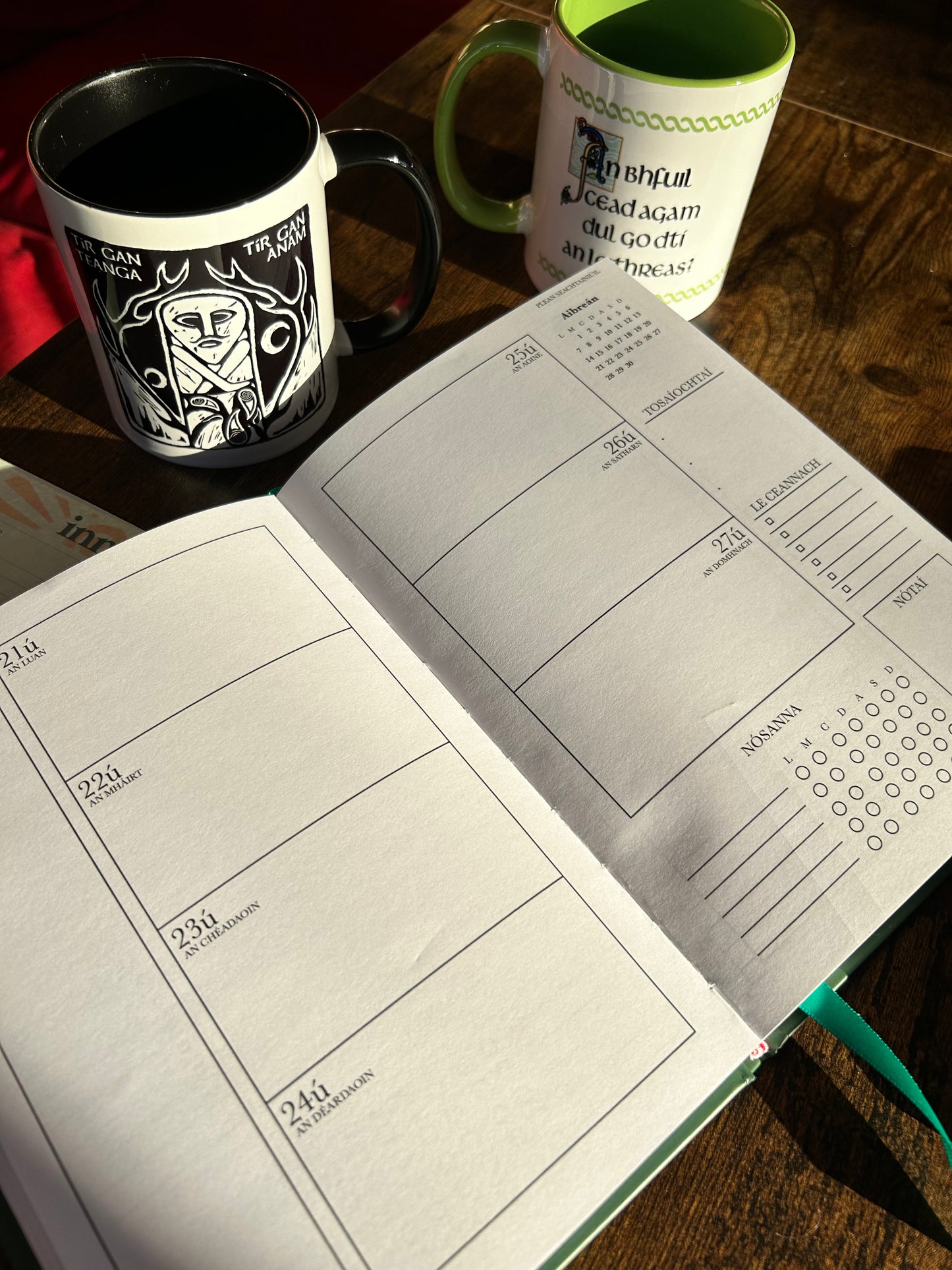 2025 Dialann Bhliantúil Gaeilge / Irish Diary Yearly Planner