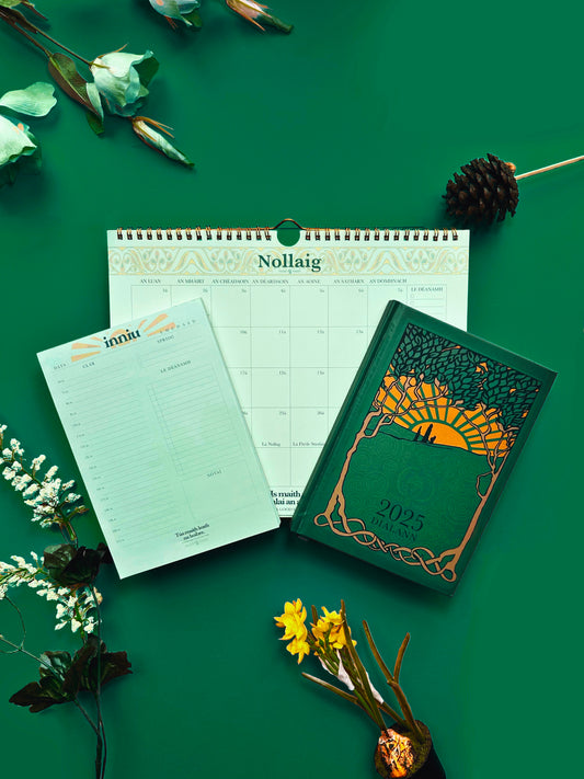 Gaeilge Bosca Bronntanais 2025 Dialann, Féilire & Pleanálaí Laethiúl | Gift Box inc. 2025 Diary, Calendar and Daily Planner